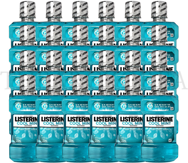 리스테린 쿨민트 구강청결제, 250ml, 24개