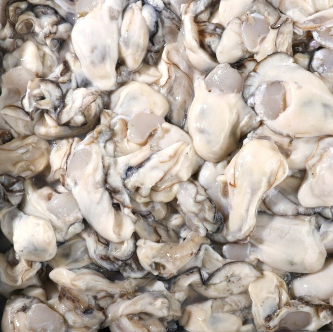 당일조업 산지직송 싱싱한 통영 생굴, 1kg, 1개