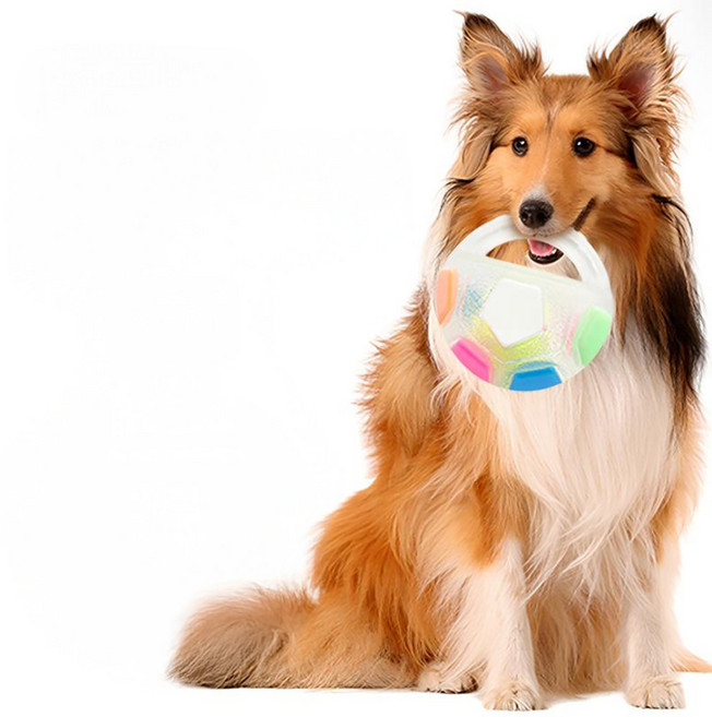 광탄이네 TPR 반려견 장난감 공 강아지 핸들 토이볼, 1개, 투명