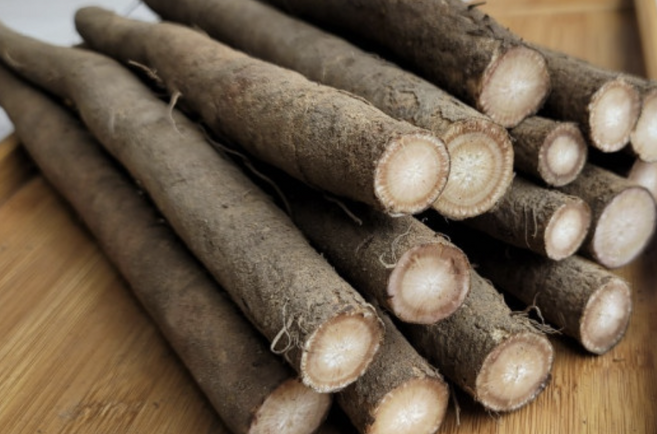 [무농약] 진주우엉 햇우엉 국산 친환경 우엉 2kg 직접재배 제철음식 햇우엉