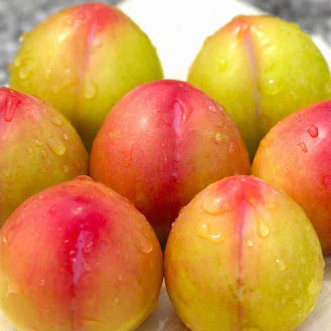 상큼달콤 햇자두 하우스 대석 추희 후무사 자두, 1개, 5kg(왕특)