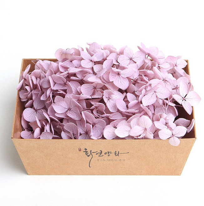 화연양화 프리저브드플라워 블루밍 케이스 수국 30색, 20 페일라벤더