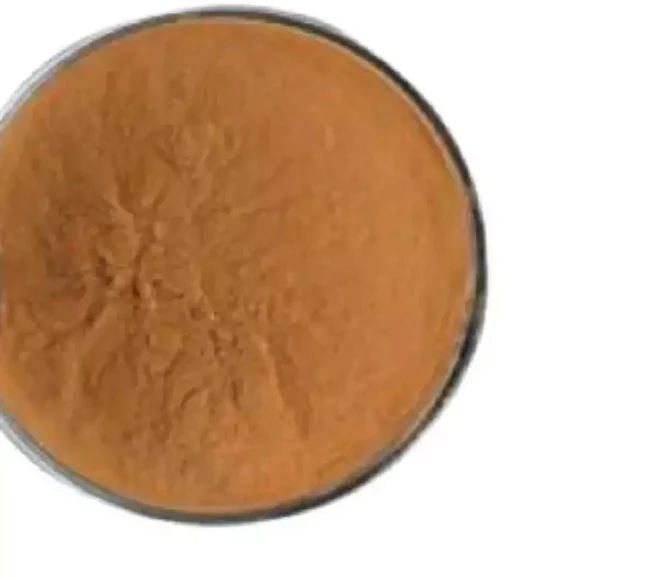 버섯 혼합 추출 분말 가루 1kg, 1개