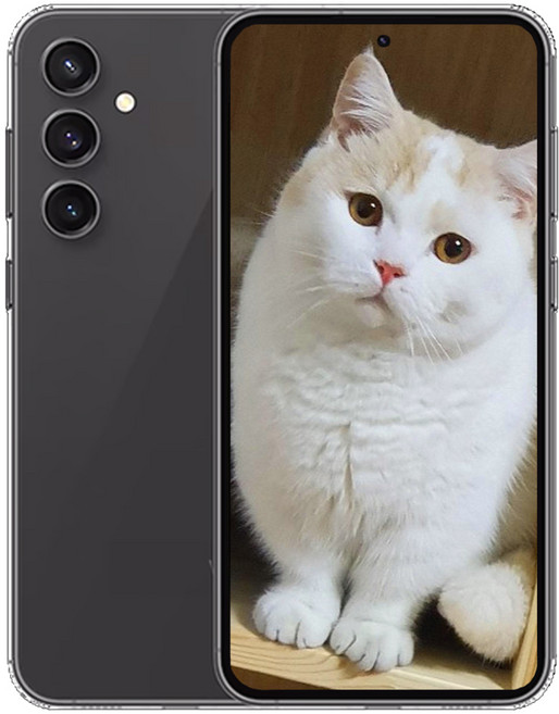 삼성전자 갤럭시 S 23 FE 새제품 미개봉, 256GB, 그라파이트 모델색