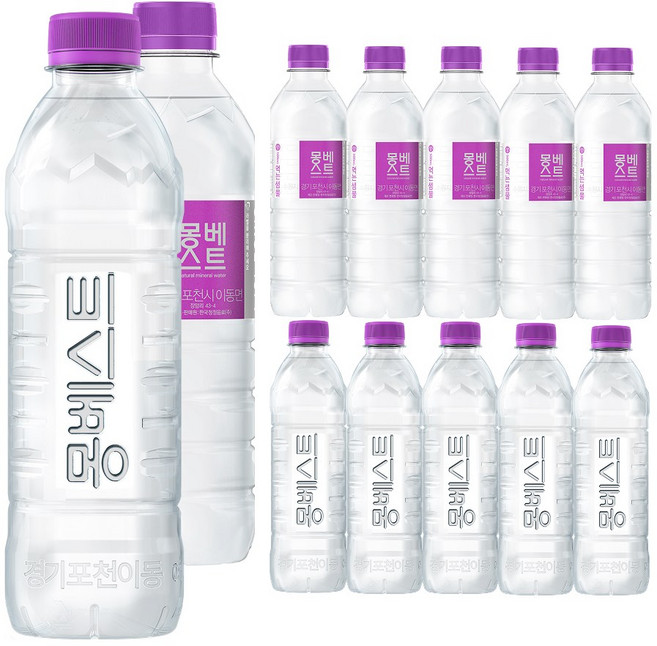 몽베스트 생수, 500ml, 20개