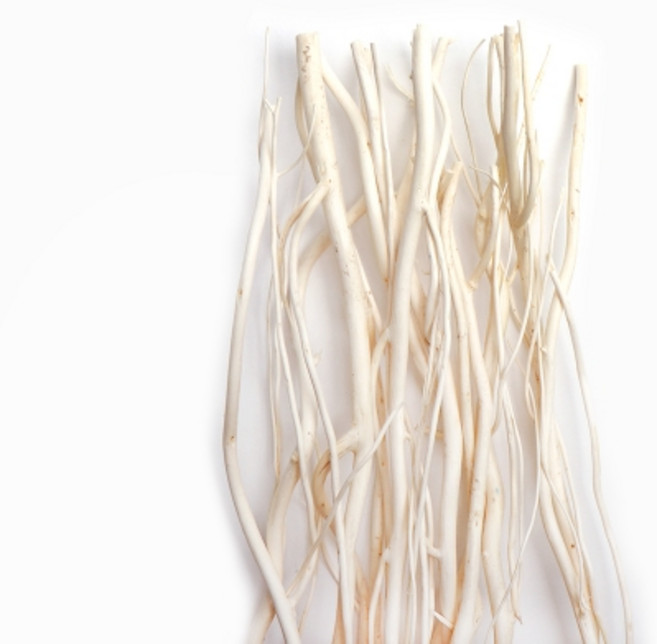 새로핸즈 24cm 디퓨저스틱 버드나무 10개입, 단품, 1개