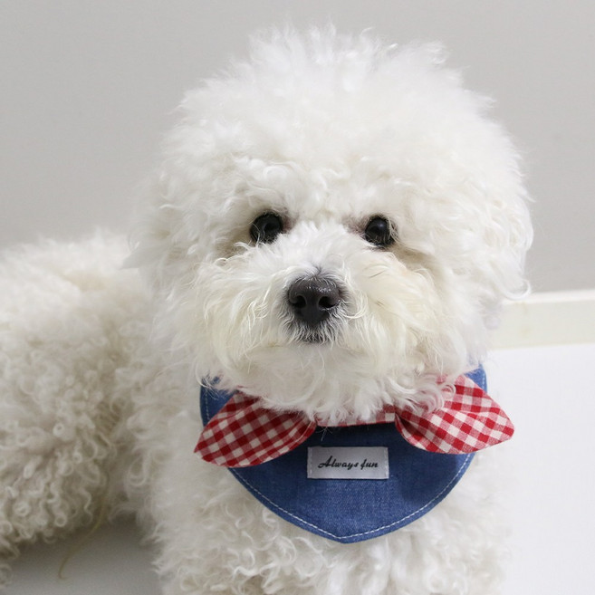 드림계곡 강아지 심플한 격자무늬 넥타이 스카프, 파란색, 1개