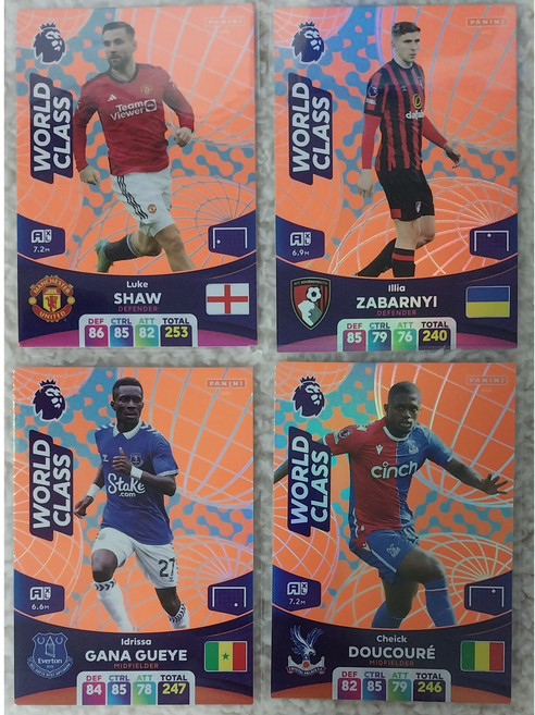 Panini EPL 2024 파니니 프리미어리그 World Class 선택구매, Illia Zabarnyi, 1개