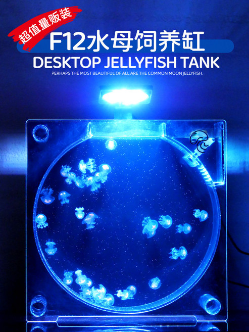 애완 해파리 키우기 세트 해파리수조 가정용 수족관 0.5L, 1개, F12 수달 수조 2개대서양바다초세트