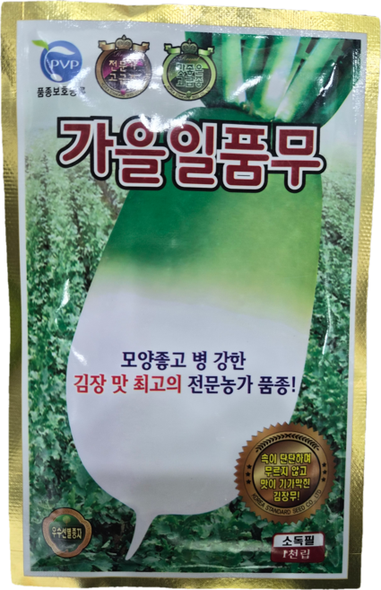 [모아농약사]KS종묘 가을일품무 김장용 전문농가 품종 김장 맛 저장성, 2000개