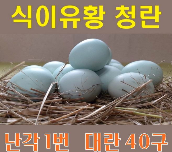 강원고성 자연방사 청란 (대란) 유정란 청계란 (난각1번), 40구, 1개