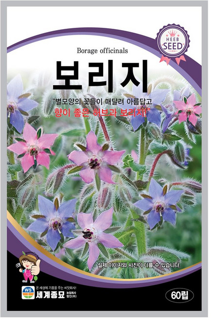 모칸도 세계 허브씨앗 보리지 60립, 1개