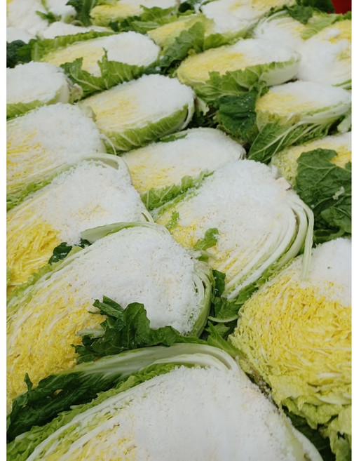 [이조원] 해남 땅끝 절임배추 국내산100% HACCP인증, 10kg, 1박스, 1000ml