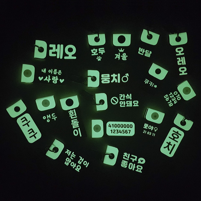 강아지 고양이 야광 반사 인식표 이름표 네임텍 야간 산책, 음각 세로형, 실버 고리, 1개