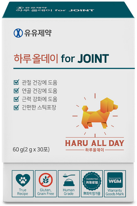 유유제약 하루올데이 JOINT 강아지 관절 반려견 영양제 슬개골 글루코사민 MSM 초록입홍합 카제로템, 30회분, 뼈/관절강화, 1개