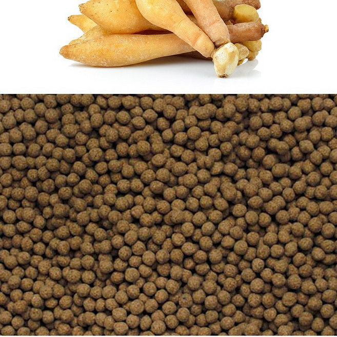 청명 핑거루트환(인도네시아산 5kg), 5kg, 1개