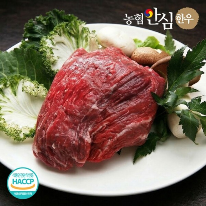 농협안심한우 1등급 한우 양지 국거리 600g(300g x 2팩), 300g, 2개