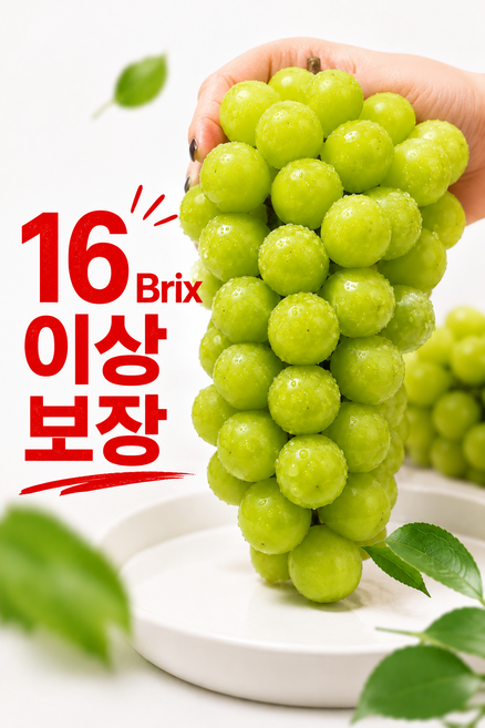 초고당도 샤인머스켓 프리미엄 엄선상품, 1개, 4kg(6~7송이)