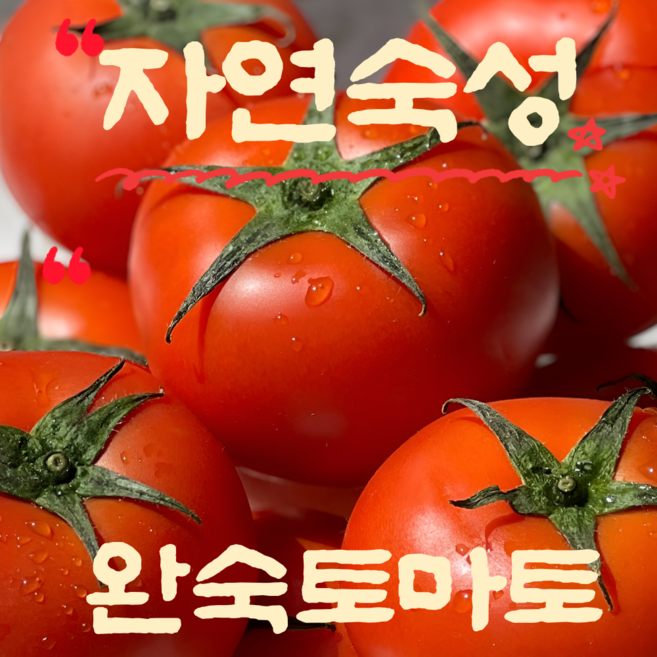 자연숙성 완숙 토마토 산지직송 자연숙성 부드러운, 1박스, 2kg (소과)