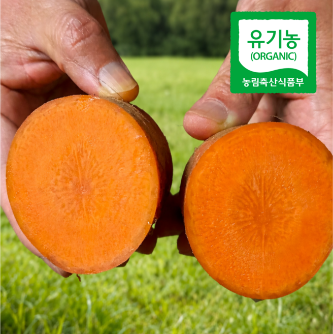 [채소밭식탁] 유기농 제주 구좌 당근 국내산 친환경 산지직송, 1박스, 10kg(혼합)