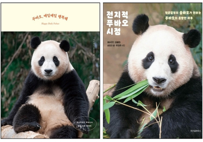 전지적 푸바오 시점+푸바오 매일매일 행복해 세트 + 우드스탬프 증정, 송영관, 위즈덤하우스