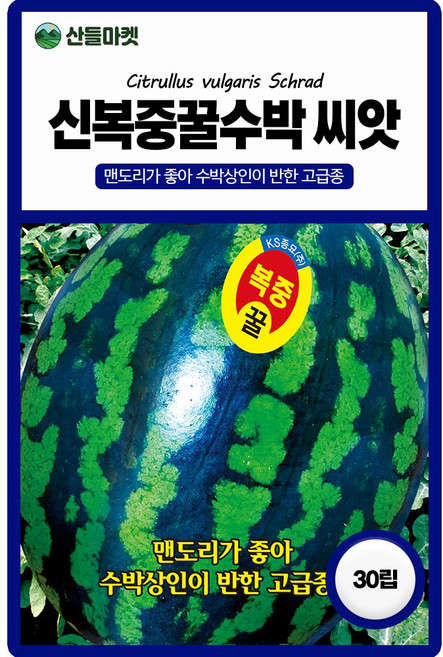 과일 씨앗 모음 토마토 수박 참외 복단지 홍일품 종자, 1개