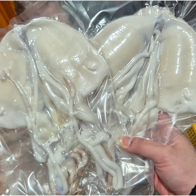 서해안의 아침을 담은 100% 국산 손질 갑오징어 개별포장 (두툼한 살밥/급냉), 3개, 300g