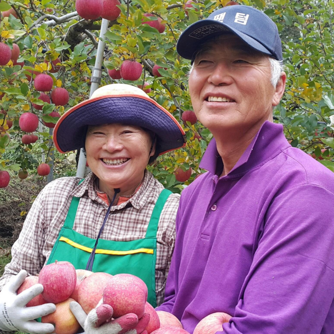 문경 학사농원 백설공주가 사랑한 문경 부사 사과 껍질채 먹는 햇사과 선물용 3kg 5kg 10kg, 10kg 못난이(흠과) 27~39과, 38개, 10