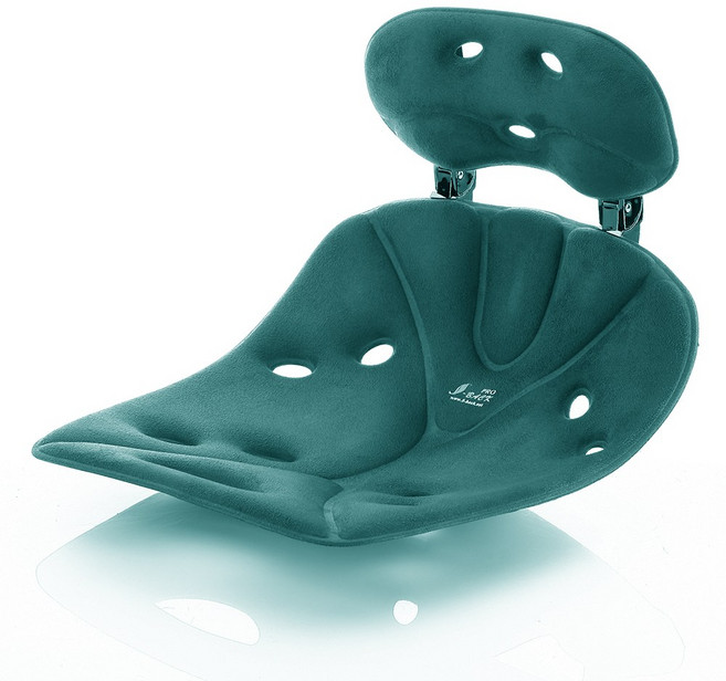 에스백 의자위에의자 프로 영 자세교정의자 허리 척추 골반 교정 디스크보호 접이식 좌식의자