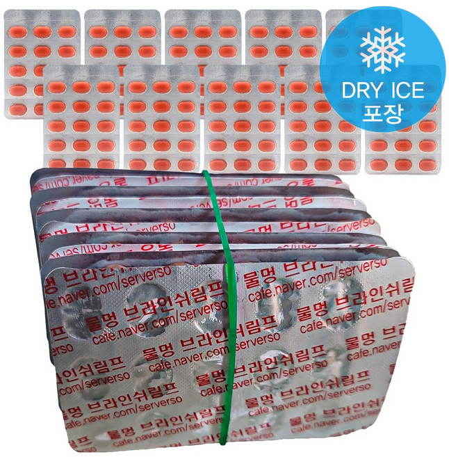 최상급 냉브 드라이아이스 포장 초고농축 프리미엄 냉동 브라인쉬림프 10팩 알약포장, 52g, 1개, 냉브 1세트 (10팩)