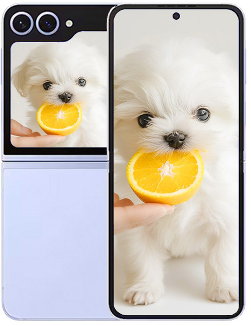삼성전자 갤럭시 Z 플립6, 256GB, 컬러 블루 Blue