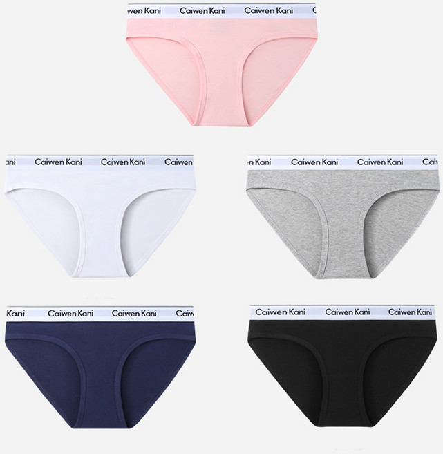 여성 면스판 햄팬티 트렌디한 스포츠 5종세트