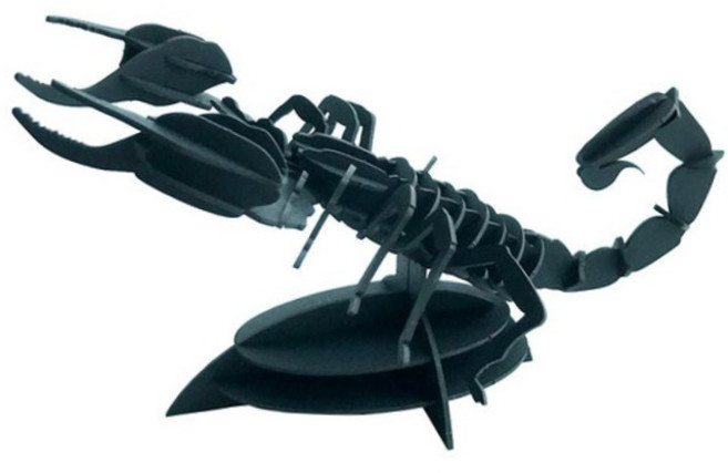 레드리브스 전갈 3d 입체 종이 퍼즐 39조각 학습교구 입체퍼즐 동물퍼즐