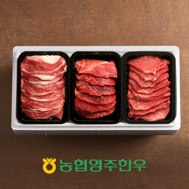 [농협영주한우]1++ 3초구이 차돌모듬한판 2호 / 총 600g (차돌박이모듬구이x2) / 와사비+참소스, 없음