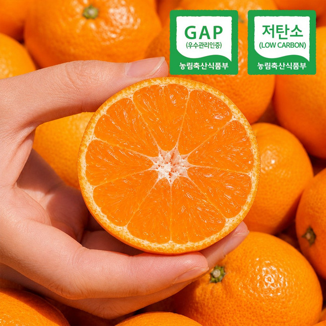 저탄소 GAP인증 제주 감귤, 1개, 하우스감귤 2kg 소과(3S)