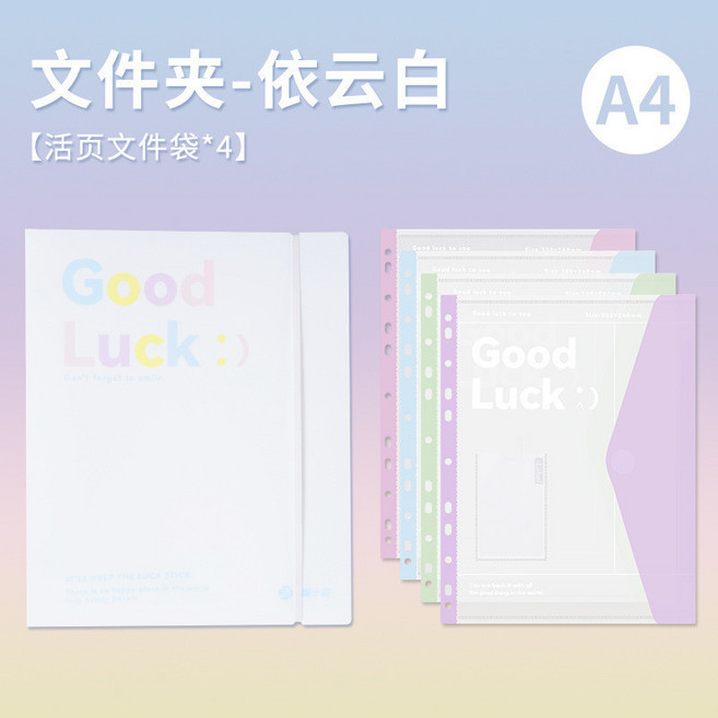 活頁文件夾 透明資料冊 A4 試捲資料收納冊 防水耐用 學生 試捲夾 收納袋 文件袋 孕檢袋, 1個, 文件夾【白色】+4個文件袋