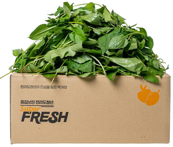 전라도청년 프레시 국내산 봄 제철 취나물, 1박스, 1kg