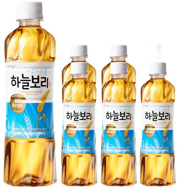 웅진 하늘보리, 500ml, 6개