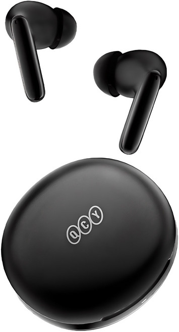 QCY 노이즈 캔슬링 블루투스 이어폰, QCY-T13ANC2 APP, 블랙