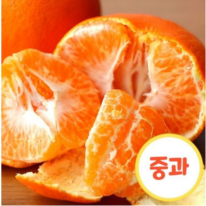 당도선별 고당도 제주 감귤 조생귤, 1박스, 중과(M) 3kg