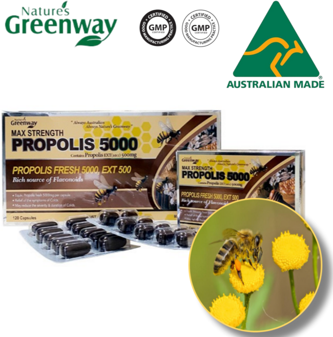 네이쳐스그린웨이 호주 네이쳐스그린웨이 프로폴리스 5000mg 120 캡슐 꿀 PROPOLIS 벌꿀 플로폴리스 BEEPROPOLIS au0418-02, 120정, 1개