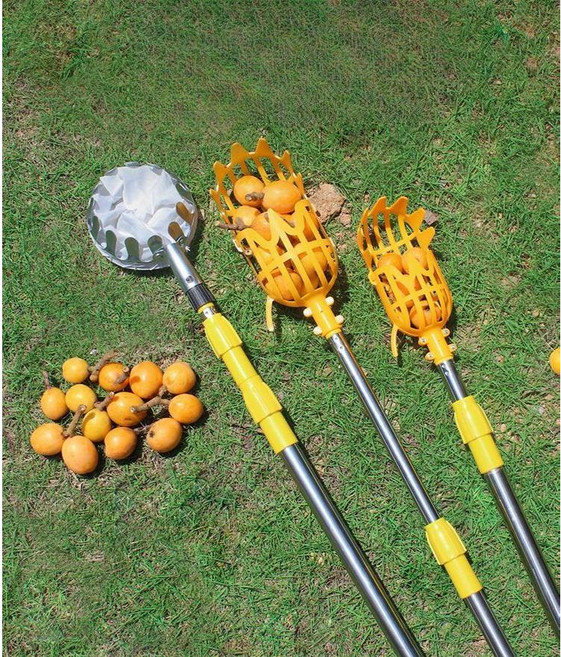대왕 과일 따기 막대 사과 배 자두 대추 밤따개, 3 미터 스테인레스 스틸 텔레스코픽 막대 + 금속 과일