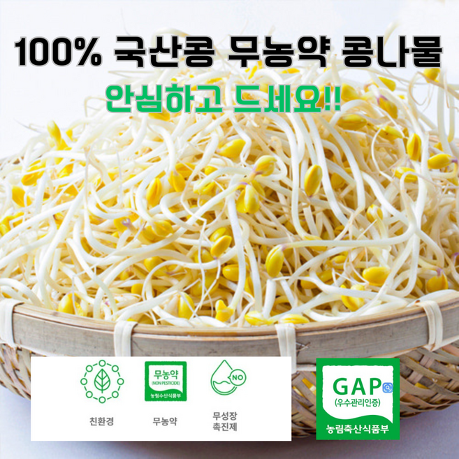 무농약 유기농 산소콩나물 1kg 2kg 3kg/ 친환경 국내산 신선 채소 천연 암반수로 청결 재배 나물 반찬용 식자재, 1개