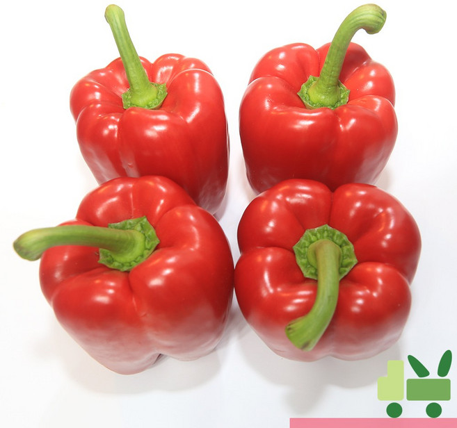 사라상회 파프리카 5Kg (비품 - 빨강), 1개