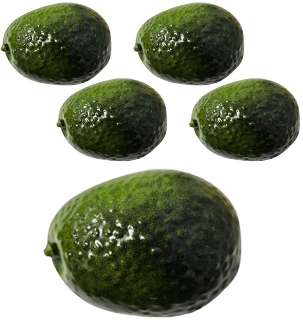 [왓위셀] 아보카도 모형 5p 소품 과일 채소 야채, 아보카도 5p