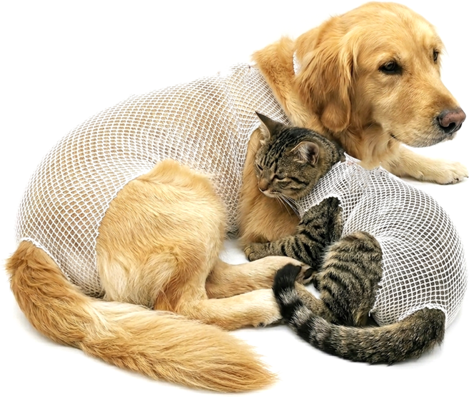고양이 강아지 중성화 수술복 환묘복 상처 수술부위 보호 붕대, 1개, 화이트