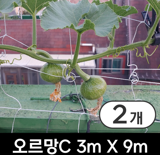 오르망C 3m x 9m 고추 호박 오이 덩쿨식물 원예 유인줄 유인망 그물망 네트망, 2개