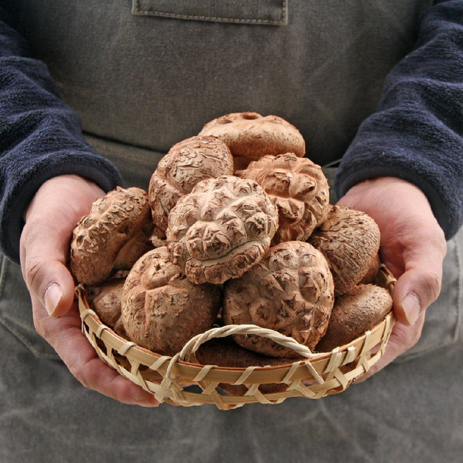 대아프레시 야채 아저씨네 쫄깃 감칠맛 국산 생 표고버섯 500g 1kg, 1박스, 국산표고 상품 1kg