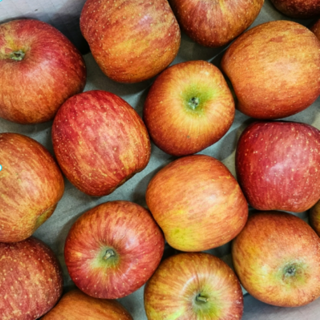 [하늘농원] 재구매1위 농장직송 꿀 사과 가정용, 1박스, 사과 5kg