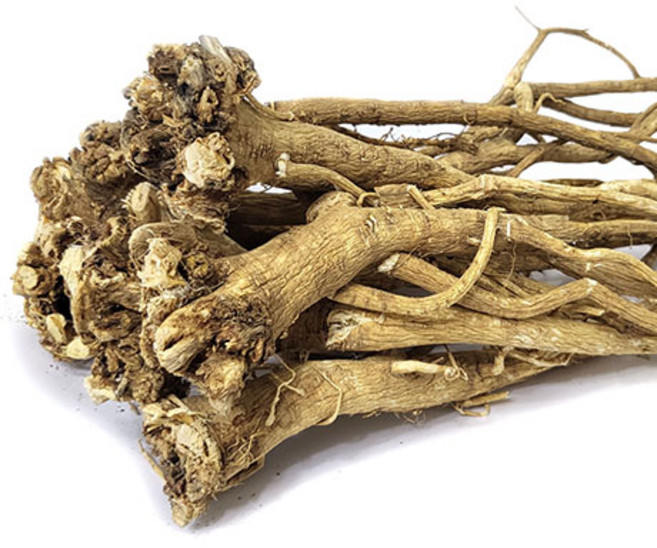 제천약초 푸리아 제천황기 5년근 소형 250g 5년근 중품 300g 절단 볶음 통황기 600g 각각의 삼계탕재료, 5년근 중품 황기 원형, 1개
